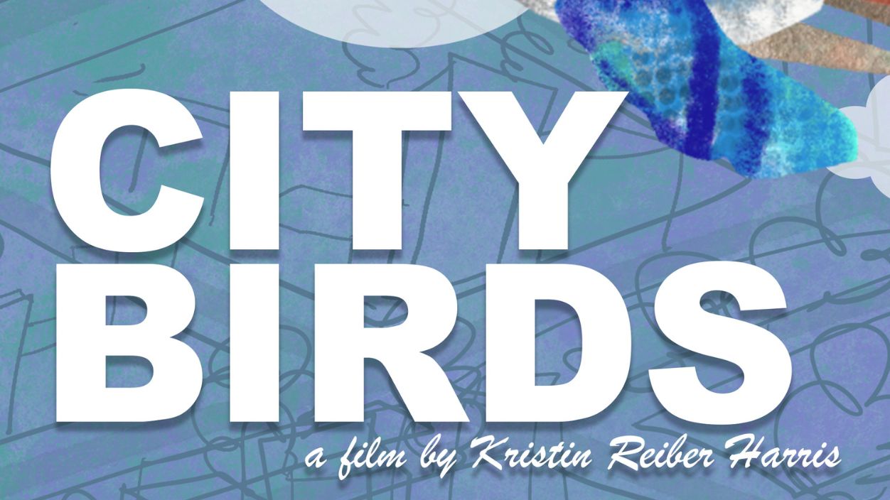 CityBIRDS