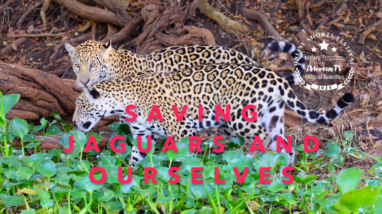 Saving Jaguars and Ourselves