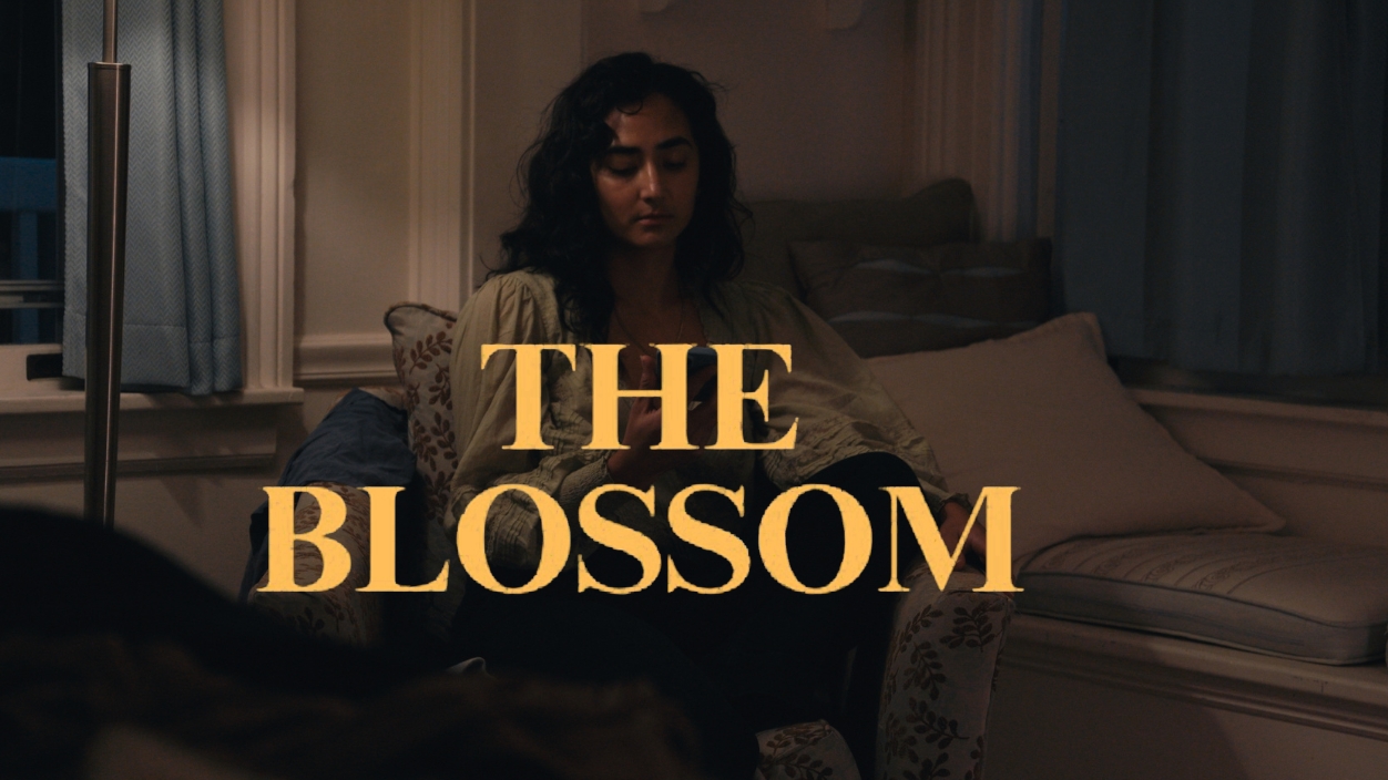 The Blossom